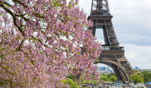 Travel and family stay