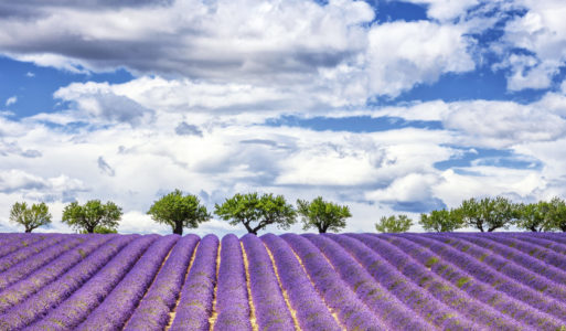 Travel to France 2